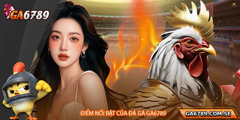 Đá Gà Ga6789 – Đỉnh Cao Giải Trí Cho Sư Kê Thời Đại Số 3 Điểm nổi bật của chuyên mục đá gà tại Ga6789